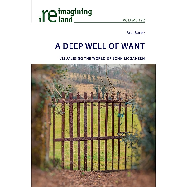 A Deep Well of Want / Reimagining Ireland Bd.122, Paul Butler