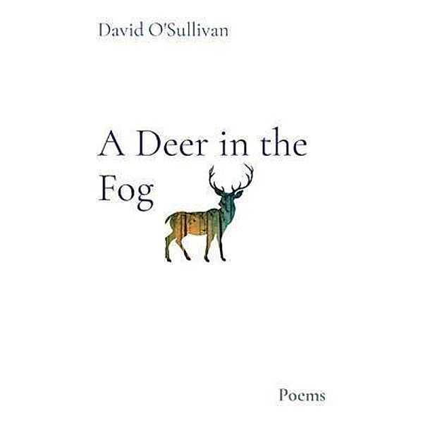 A Deer in the Fog, David O'Sullivan