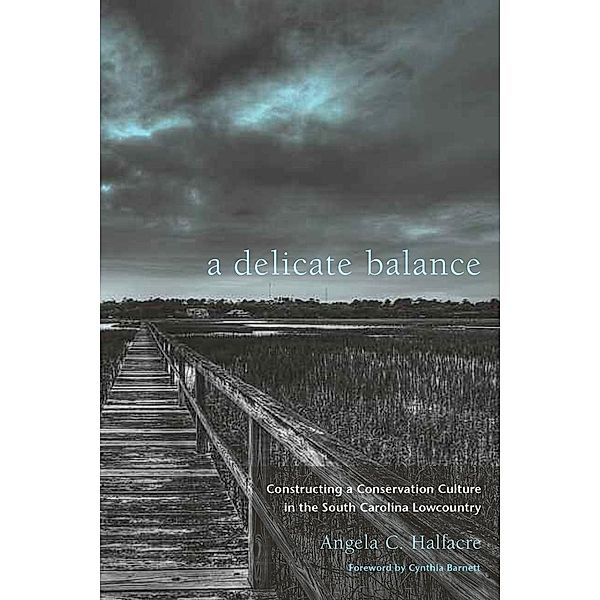 A Delicate Balance, Angela C. Halfacre