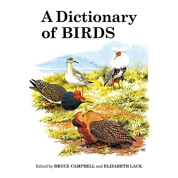 A Dictionary of Birds, Bruce Campbell, Elizabeth Lack