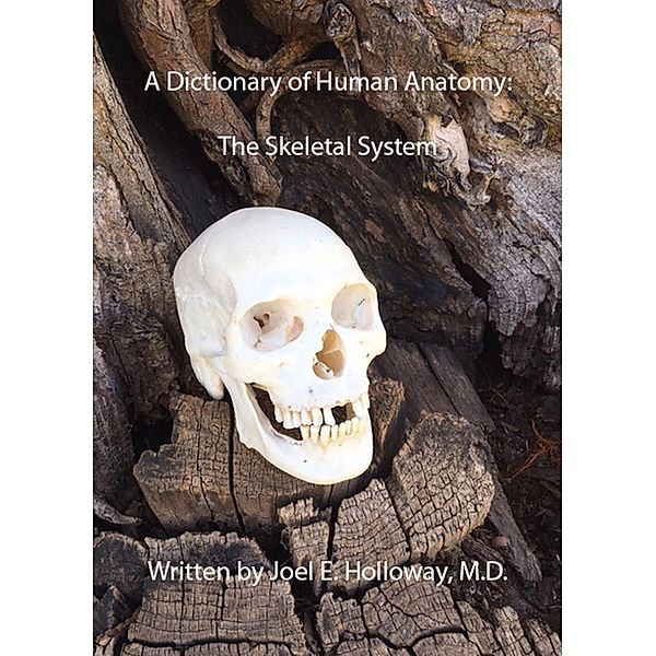 A Dictionary of Human Anatomy: Skeletal System, Joel E. Holloway