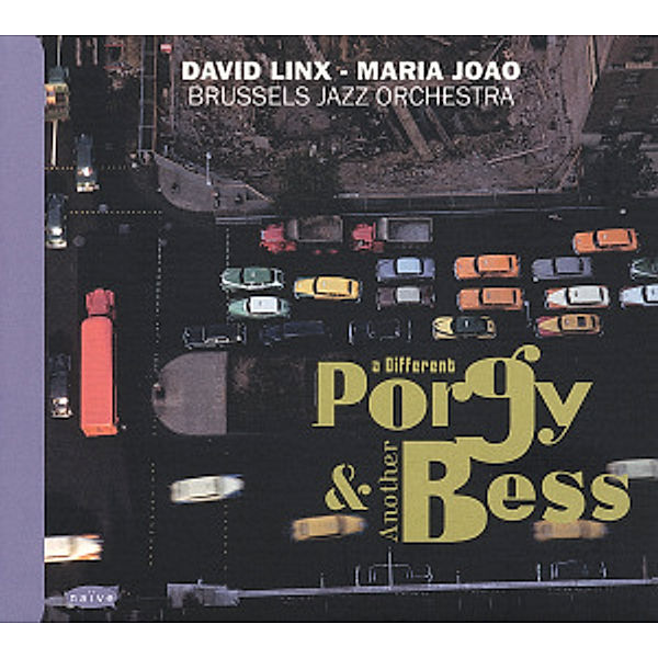 A Different Porgy & Another Bess, David Linx