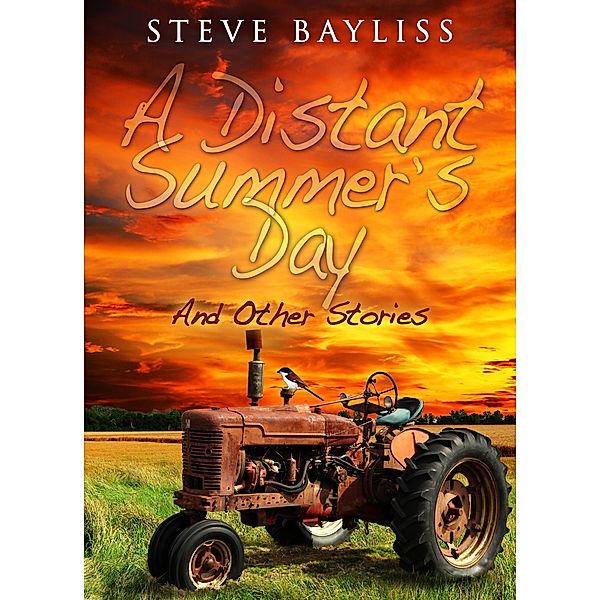A Distant Summer's Day, Stephen Bayliss