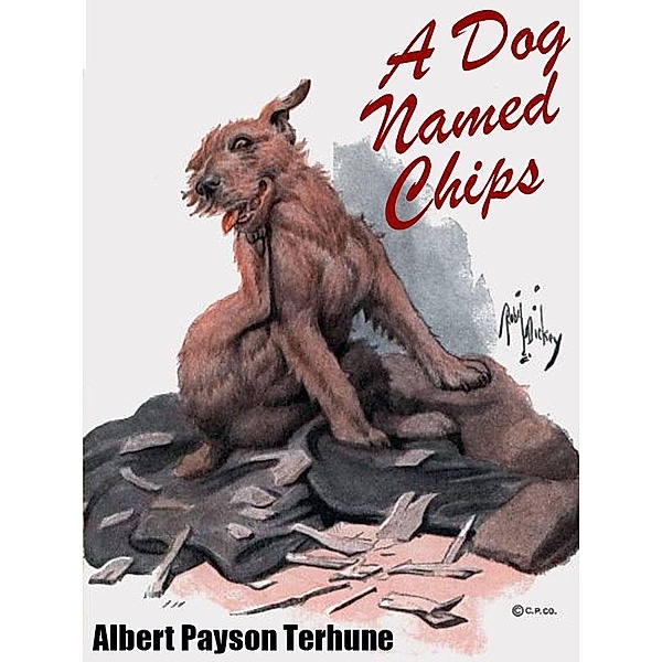 A Dog Named Chips / Wildside Press, Albert Payson Terhune