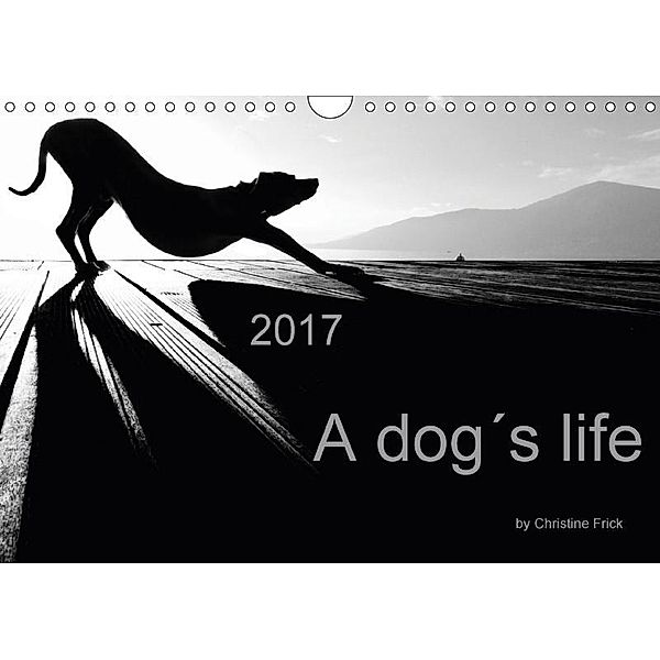 A dog s life / UK Version (Wall Calendar 2017 DIN A4 Landscape), Christine Frick