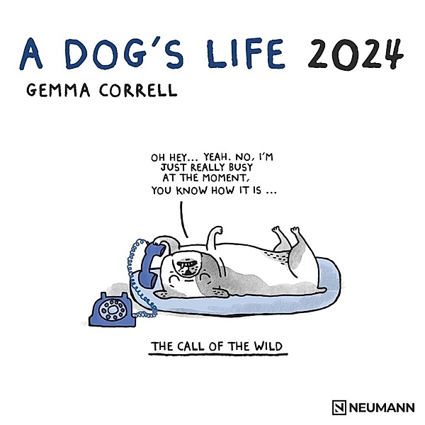 A Dog's Life 2024 - Wand-Kalender - Broschüren-Kalender - 30x30 - 30x60 geöffnet - Hunde - Cartoon