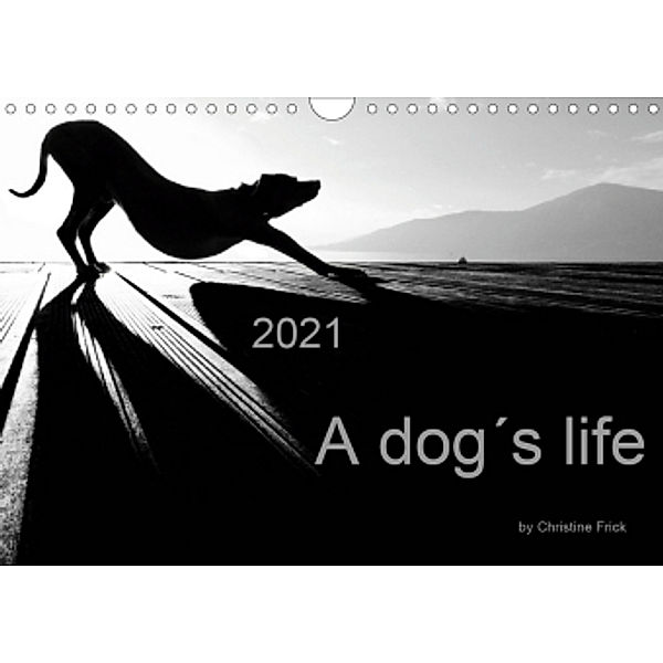 A dog's life / UK Version (Wall Calendar 2021 DIN A4 Landscape), Christine Frick