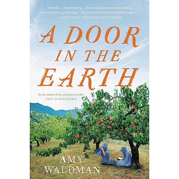 A Door in the Earth, Amy Waldman