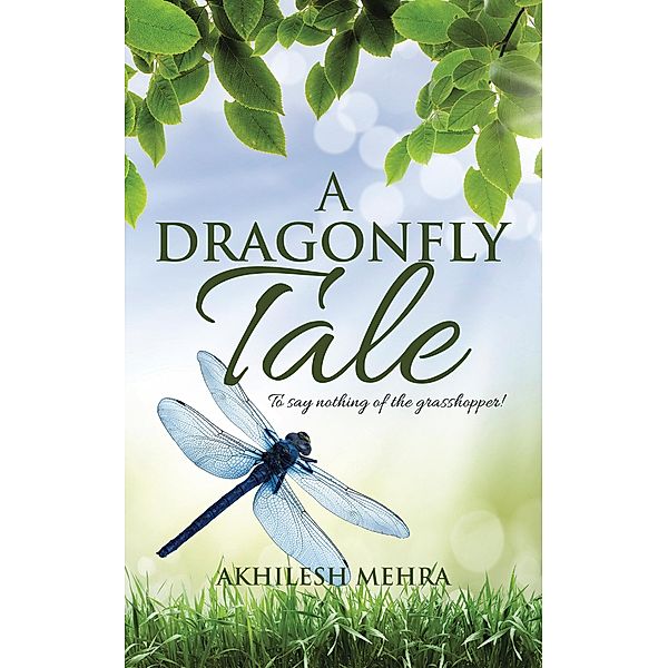 A Dragonfly Tale, Akhilesh Mehra