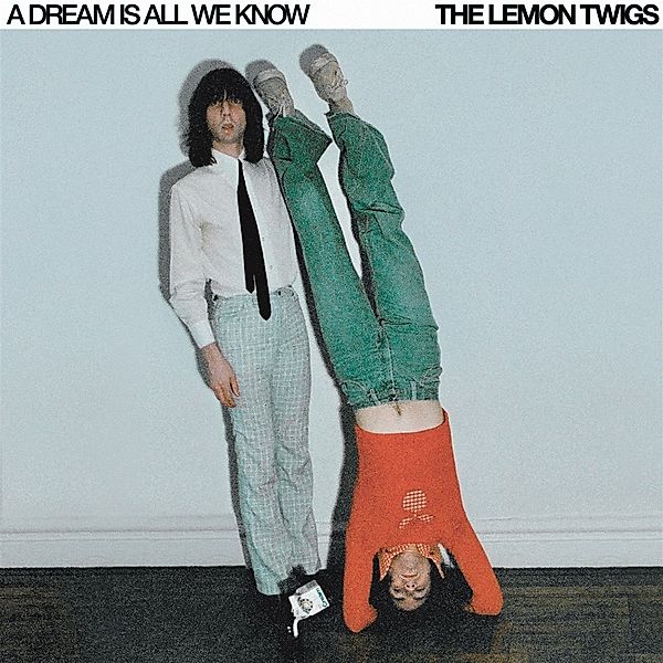 A DREAM IS ALL WE KNOW, The Lemon Twigs