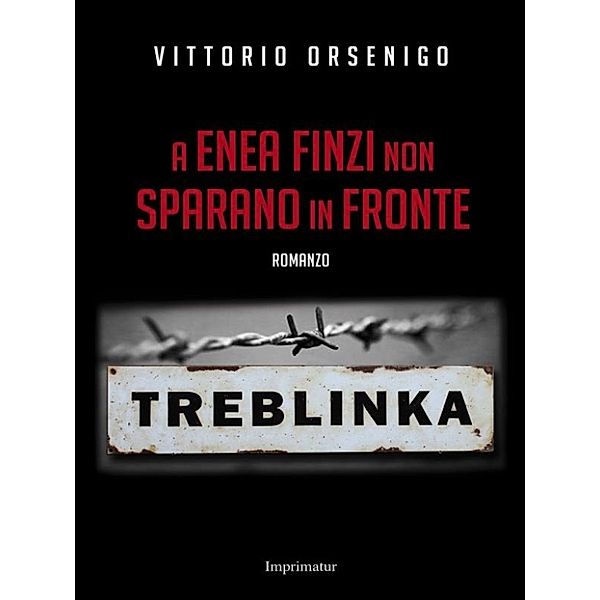 A Enea Finzi non sparano in fronte, Vittorio Orsenigo