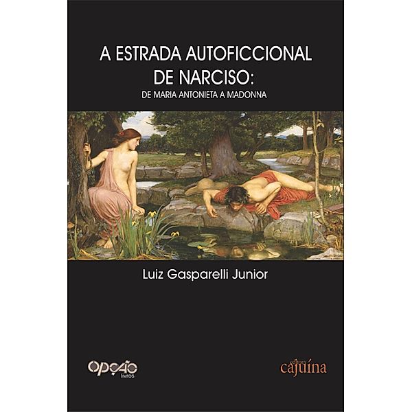 A estrada autoficcional de Narciso, Luiz Gasparelli Junior