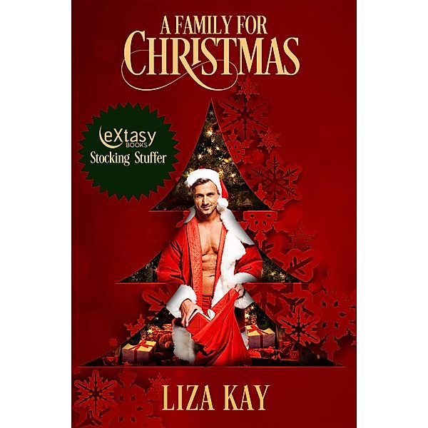 A Family for Christmas, Liza Kay