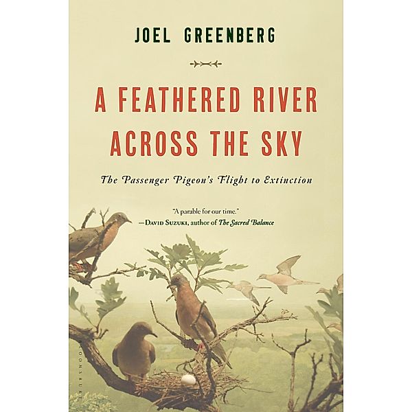 A Feathered River Across the Sky, Joel Greenberg