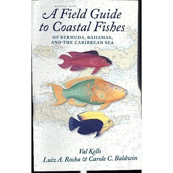 A Field Guide to Coastal Fishes of Bermuda, Bahamas, and the Caribbean Sea, Valerie A. Kells, Luiz A. Rocha, Carole C. Baldwin