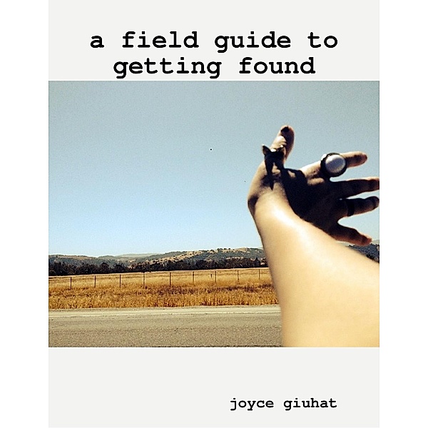 A Field Guide to Getting Found, Joyce Giuhat