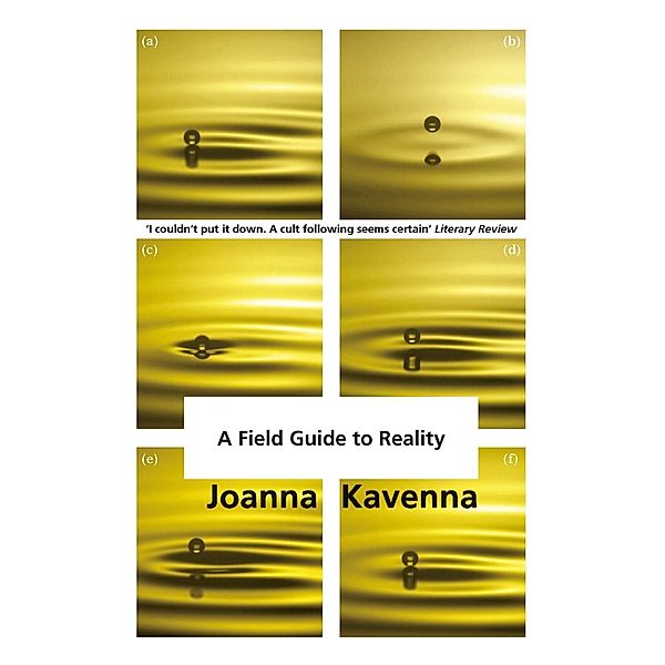 A Field Guide to Reality, Joanna Kavenna