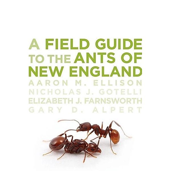 A Field Guide to the Ants of New England, Gary D. Alpert, Aaron M. Ellison, Elizabeth J. Farnsworth, Nicholas J. Gotelli