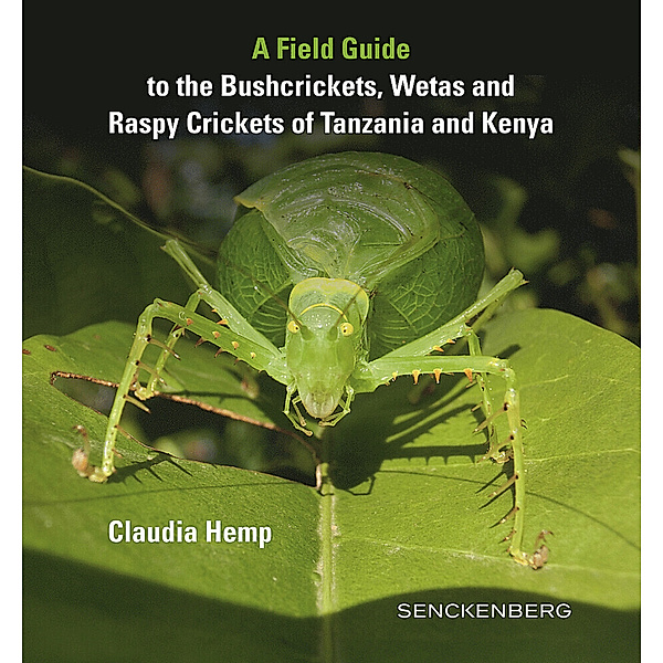 A Field Guide to the Bushcrickets, Wetas and Raspy Crickets of Tanzania and Kenya, Claudia Hemp