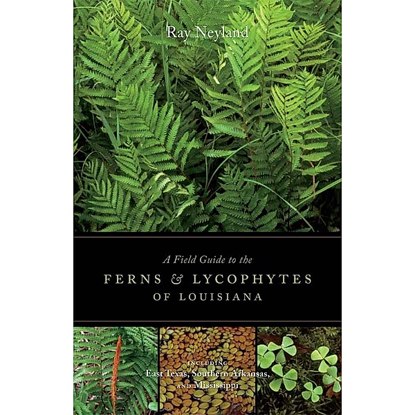 A Field Guide to the Ferns and Lycophytes of Louisiana, Ray Neyland