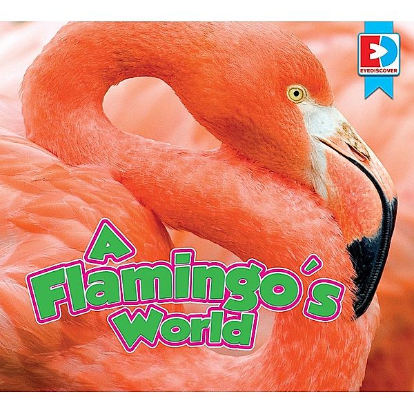 A Flamingo's World, John Willis