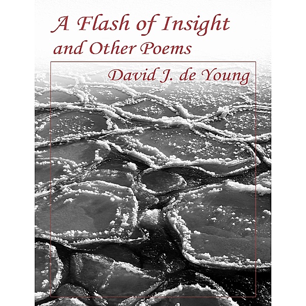 A Flash of Insight and Other Poems, David J. de Young