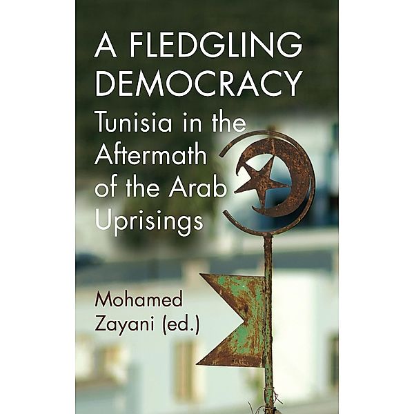 A Fledgling Democracy / Georgetown University, Center for International and Regional Studies, School of Foreign Service in Qatar