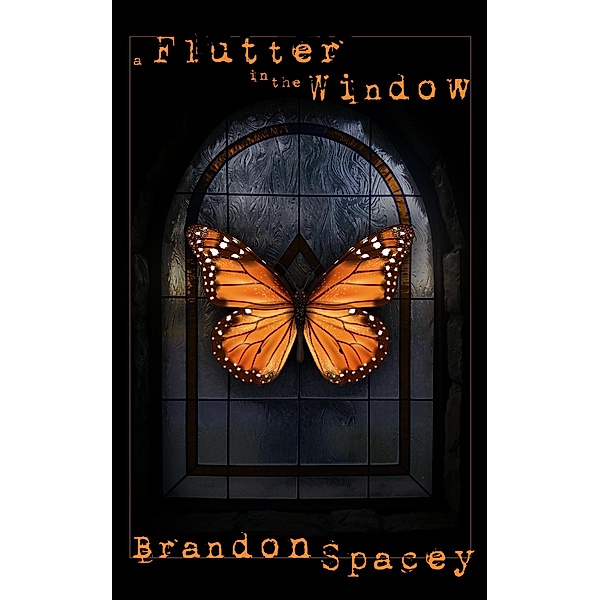 A Flutter in the Window (Shawn Stedwin, #1) / Shawn Stedwin, Brandon Spacey