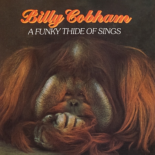 A Funky Thide Of Sings, Billy Cobham