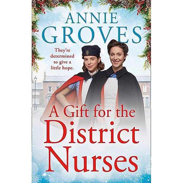 A Gift for the District Nurses / The District Nurses Bd.4, Annie Groves