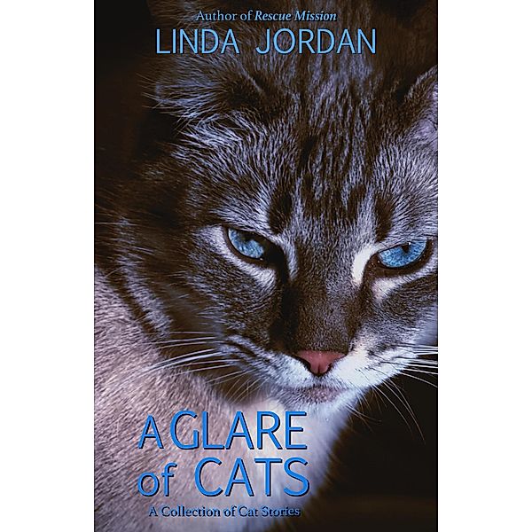 A Glare of Cats: A Collection of Cat Stories, Linda Jordan