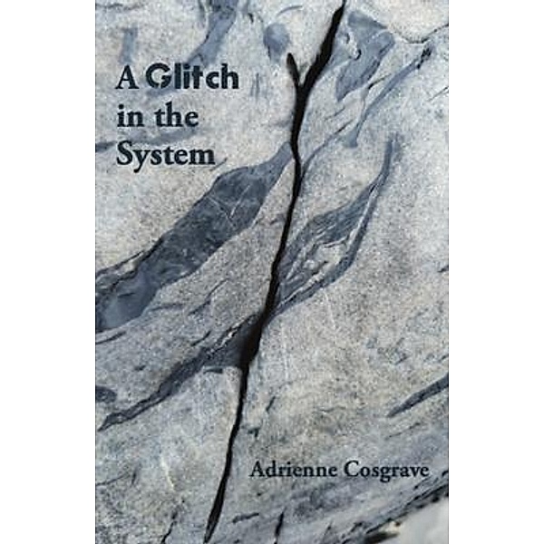 A Glitch in the System, Adrienne Cosgrave