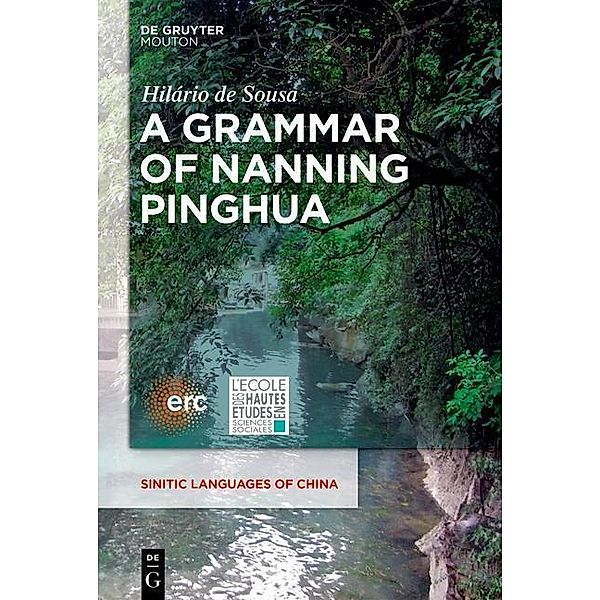 A Grammar of Nanning Pinghua, Hilário de Sousa