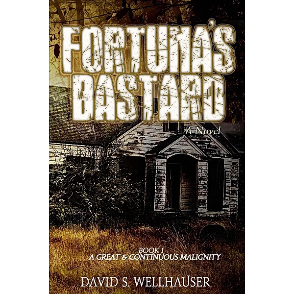 A Great & Continuous Malignity: Fortuna's Bastard (A Great & Continuous Malignity, #1), David S. Wellhauser
