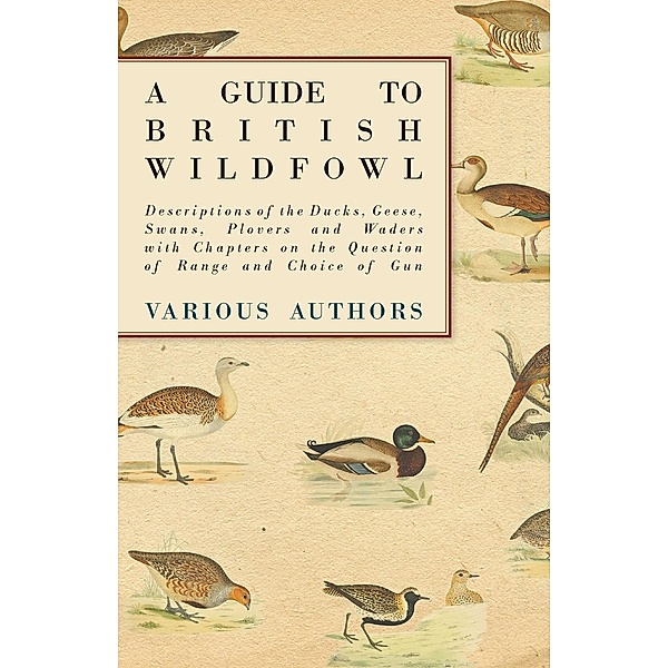 A Guide to British Wildfowl - Descriptions of the Ducks, Geese, Swans, Plovers and Waders with Chapters on the Question of Range and Choice of Gun, Various