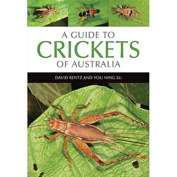 A Guide to Crickets of Australia, David Rentz, You Ning Su