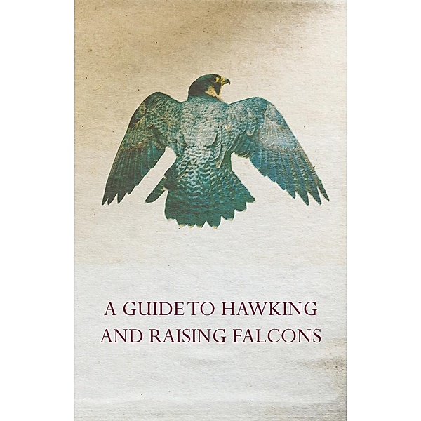 A Guide to Hawking and Raising Falcons - With Chapters on the Language of Hawking, Short Winged Hawks and Hunting with the Gyrfalcon, Anon