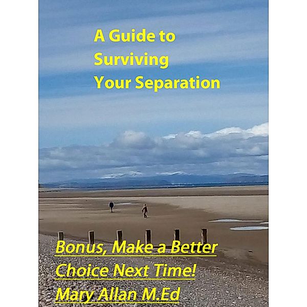 A Guide To Surviving Your Separation, Mary Allan