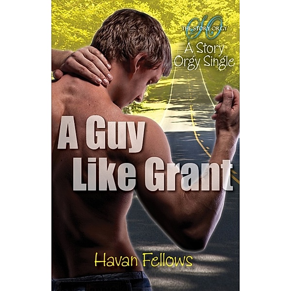 A Guy Like Grant, Havan Fellows