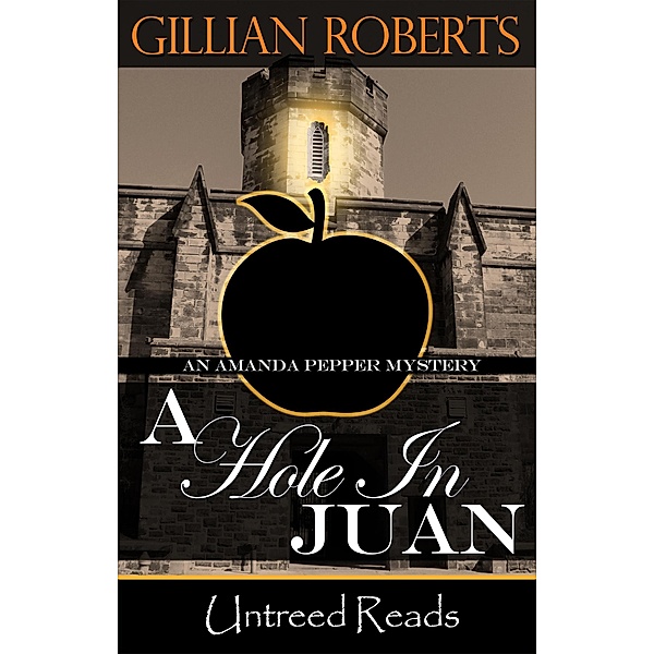 A Hole in Juan (An Amanda Pepper Mystery, #13) / An Amanda Pepper Mystery, Gillian Roberts