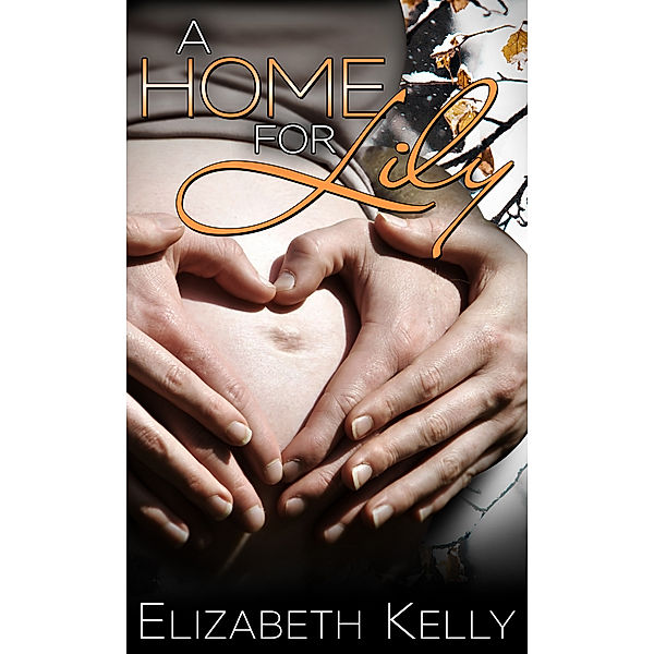 A Home for Lily, Elizabeth Kelly