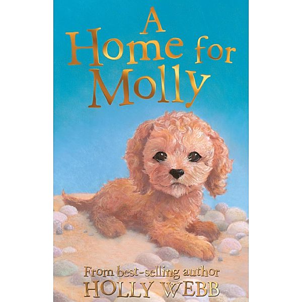 A Home for Molly / Holly Webb Animal Stories Bd.31, Holly Webb