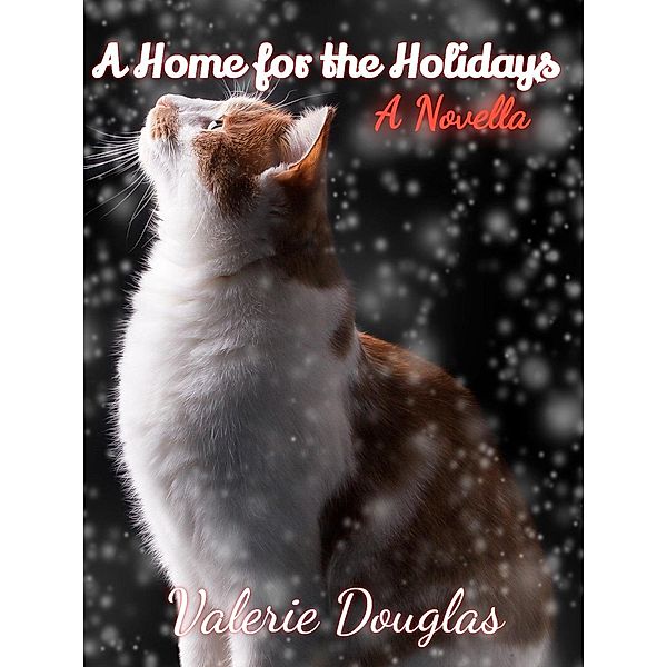 A Home for the Holidays (Millersburg Quartet, #5) / Millersburg Quartet, Valerie Douglas