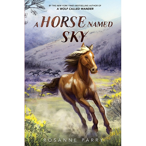 A Horse Named Sky / A Voice of the Wilderness Novel, Rosanne Parry