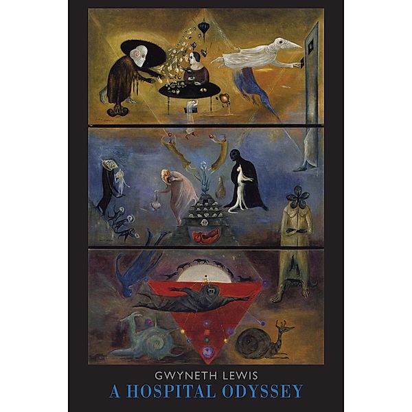 A Hospital Odyssey, Gwyneth Lewis