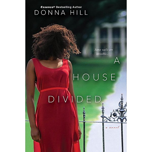 A House Divided / The Family Secret Series Bd.1, Donna Hill