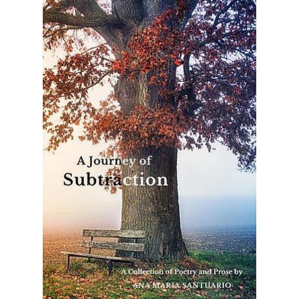 A Journey of Subtraction, Ana Maria Santuario