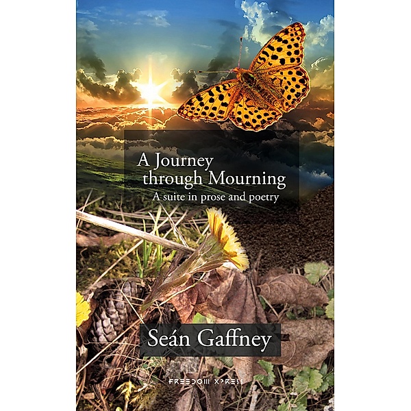 A Journey through Mourning, Seán Gaffney