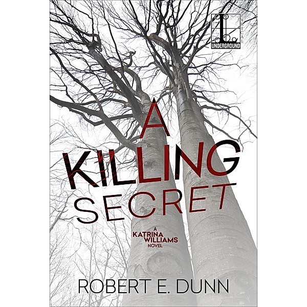 A Killing Secret / A Katrina Williams Novel Bd.4, Robert E. Dunn