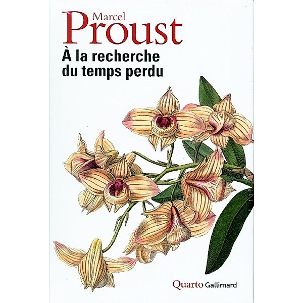 A la recherche du temps perdu, Marcel Proust